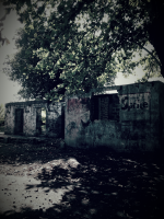 /album/fotogalerie/a2015-06-09-19-55-39-png/